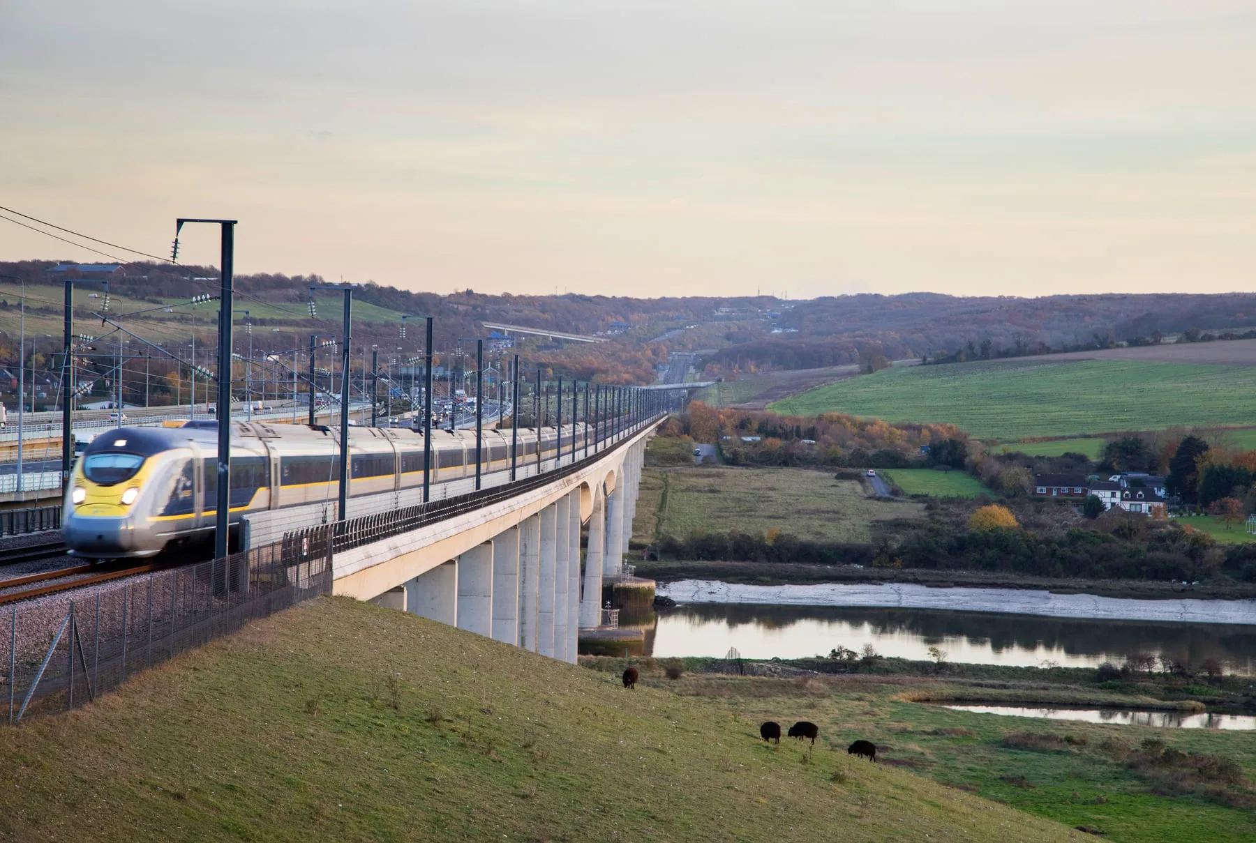 Eurostar crossing a long viaduct above an estuary, cattle grazing on the hillside below