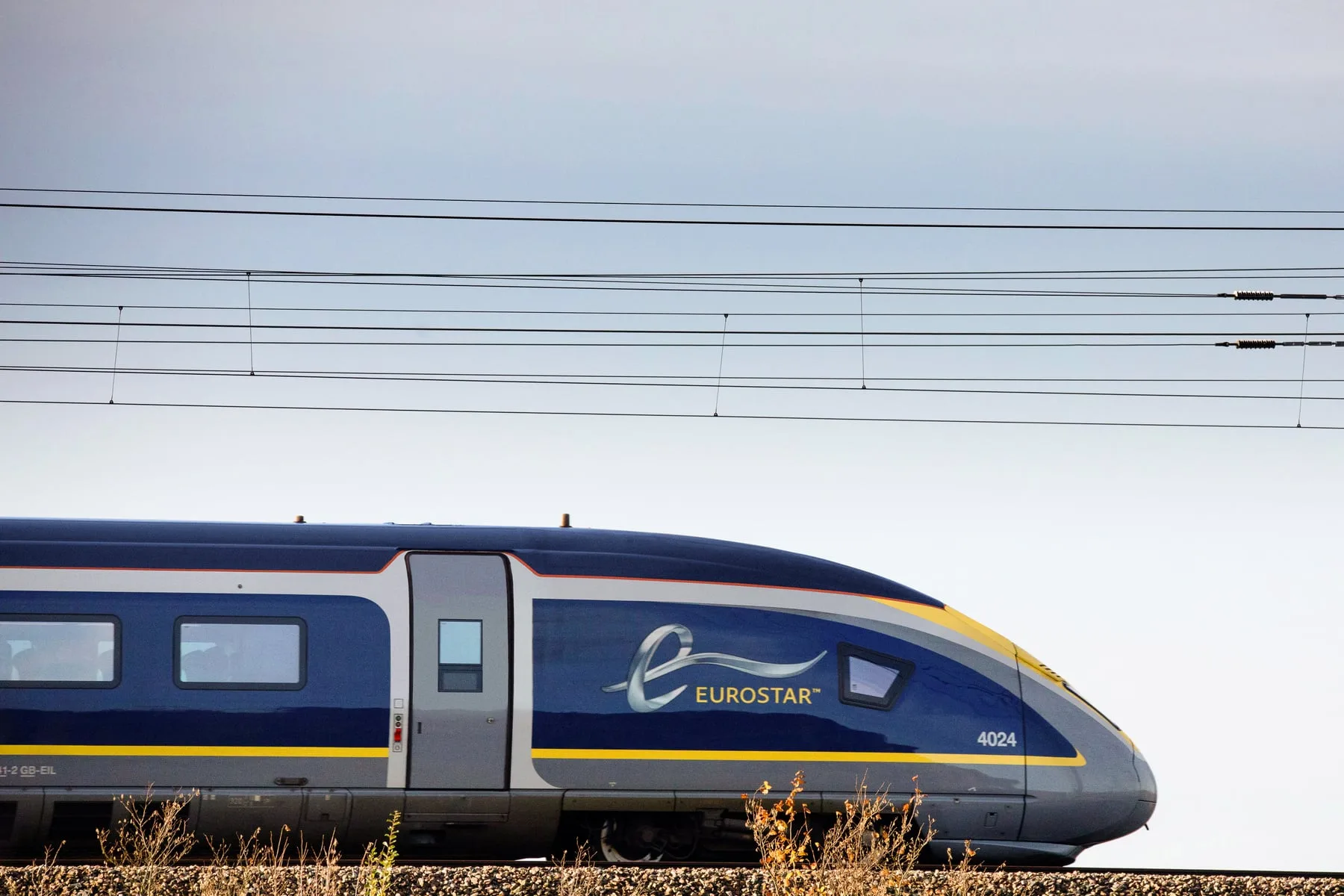 Eurostar e320 in profile against a pale flat sky, dry lineside grasses in the foreground