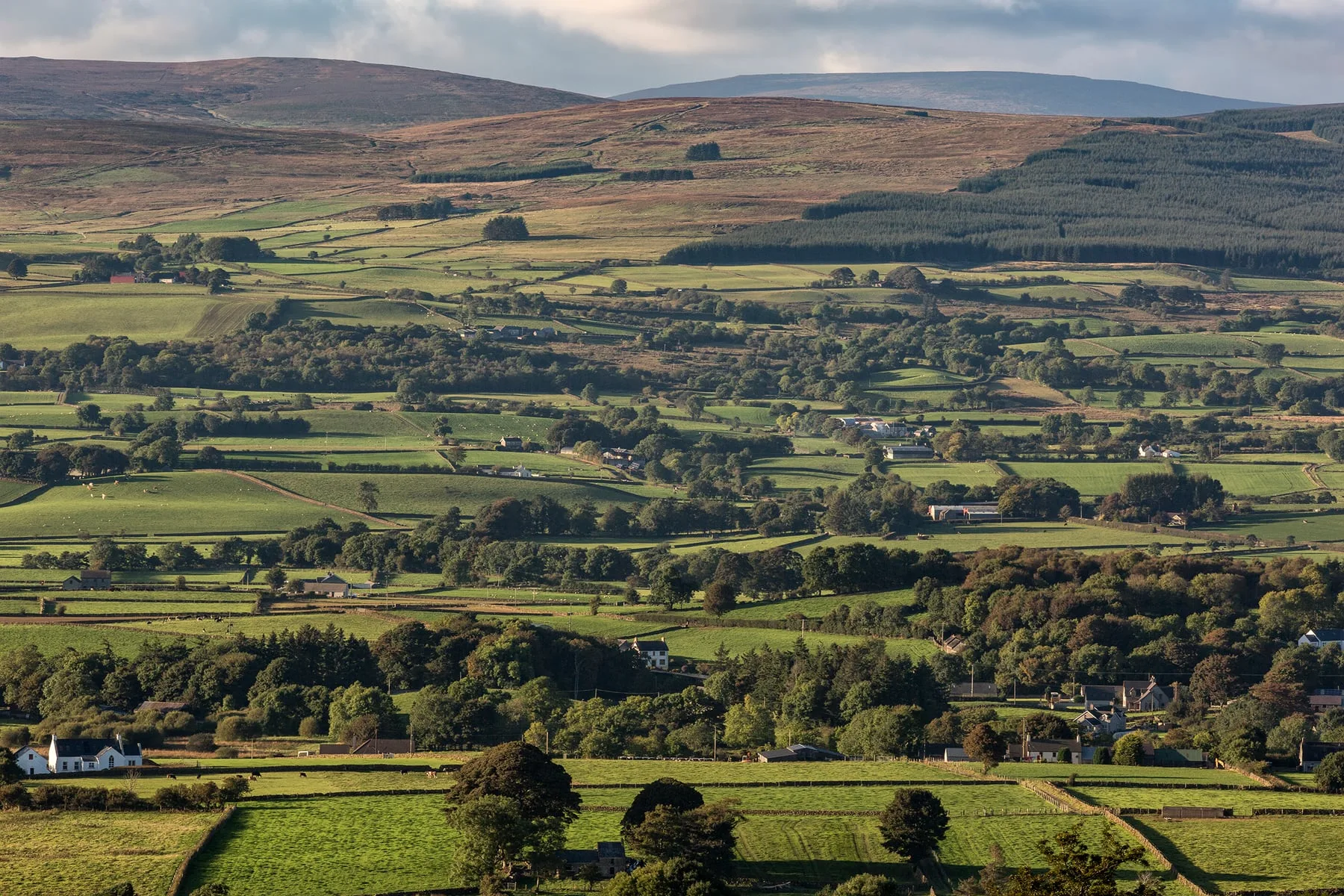 Rolling farmland and moorland hills near Ballymena, County Antrim — Santander